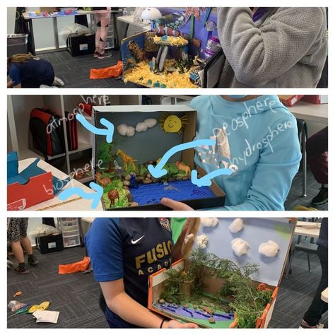 The students learned about the 4 different spheres (hydrosphere, geosphere, biosphere, atmosphere) in Science. At the end of the unit they created a shoe box model that showed at AT LEAST two of the spheres interacted with each other. Most students were able to show all 4 spheres interacting. 5th Grade Science, Earth's Spheres, Habitats Projects, 5th Grade Graduation, Earth Projects, Homeschool Crafts, Plant Life Cycle, Seventh Grade, Elementary Science