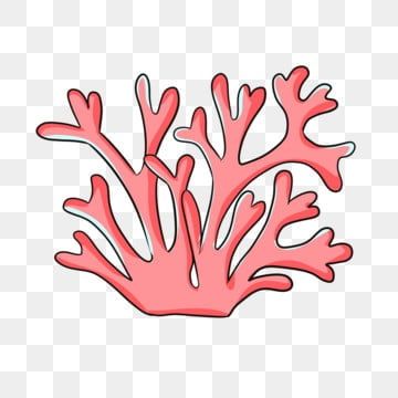 coral clipart,coral,red coral,coral tree,coral branch,underwater world,cartoon coral tree,illustration,cartoon,hand painted,ocean,biological,hand,hand clipart,cartoon clipart,ocean clipart Coral Cartoon, Coral Clipart, Cartoon Coral, World Cartoon, Ocean Clipart, Coral Tree, Hand Clipart, Cartoon Clipart, Illustration Cartoon