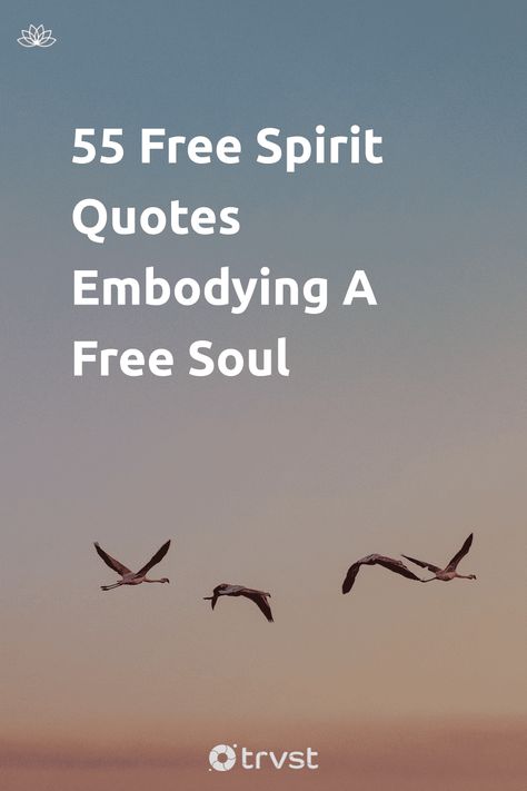 Embrace your unique spirit with inspiration from our free spirit quotes collection! Let the wise words of renowned figures ignite your imagination and power to challenge norms. Explore freedom, independence, and spontaneity. #FreeSpirit #Quotes #Inspiration #Truth #Independence 🕊️🌍💚 Quotes About Spirit, Carefree Quotes Free Spirit, Wanderer Quotes Free Spirit, Free Quotes Feeling, Free Quotes Spirit, How To Be A Free Spirit, Freedom Aesthetic Quotes, Freedom Quotes Women, Freedom Quotes Short