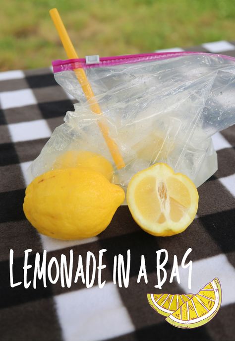 Lemonade In A Bag For Kids, Lemonade In A Bag, Fun Indoor Summer Activities For Kids, Preschool Lemonade Craft, Fun Summer Themes For Preschool, 3rd Grade Activities Fun Summer, Hot Day Activities Toddler, Last Day Of School Snacks For Kids, Summer Outdoor Toddler Activities