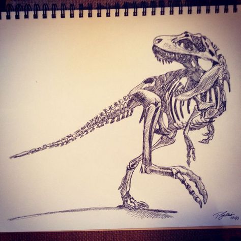 Dinosaur Skeleton Tattoo T Rex Tattoo, Draw Flower, Dinosaur Tattoos, Skeleton Drawings, Theme Tattoo, Dinosaur Drawing, Skeleton Tattoos, Dinosaur Skeleton, Paleo Art