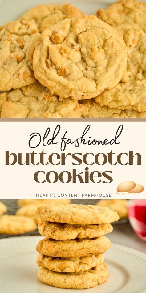 These soft and chewy cookies have the perfect balance of butterscotch chips and spices. They're just like Grandma used to make, with golden brown edges and a delicious flavor that will leave you wanting more. Try this easy recipe today! Butterscotch Cookies Recipes, Butterscotch Chip Cookies, Butterscotch Recipes, Drop Cookie, Butterscotch Cookies, Butterscotch Chips, Drop Cookies, Lost 100 Pounds, Candy Cookies