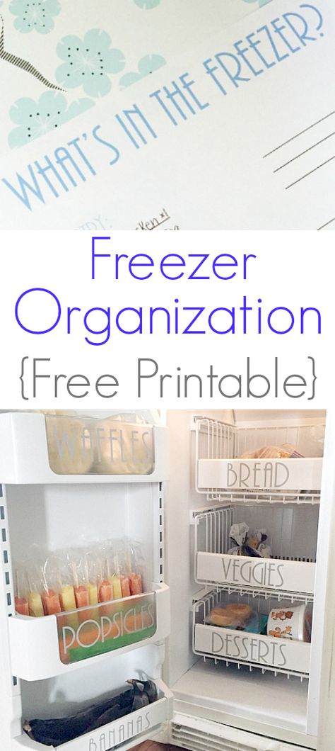 Freezer organization