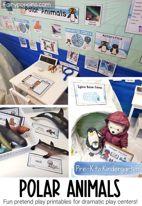 This polar animals dramatic play center is a fun way for kids to learn the Arctic, Arctic animals, Antarctica and Antarctic animals. #arcticanimals #antarcticanimals #arctic #antarctica #polardramaticplay #winterdramaticplay #igloodramaticplay #penguinactivities #pretendplay #dramaticplaycenter #pretendplaycenter #preschool #prek #kindergarten #dramaticplaycentre #dramaticplay Artic Animals Dramatic Play, Winter Dramatic Play Kindergarten, Artic Dramatic Play Area, January Dramatic Play, Arctic Dramatic Play, Winter Dramatic Play, Kindergarten Centres, Dramatic Play Kindergarten, Animals Kindergarten