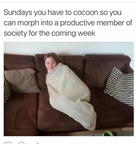 Cocoon Humour, Funny Pictures With Captions, James Brown, Work Memes, Memes Humor, Top Funny, Komik Internet Fenomenleri, Relatable Post, You Funny