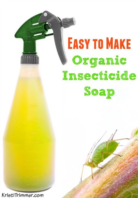 Ant Killer Recipe, Homemade Ant Killer, Homemade Insecticide, Pest Spray, Garden Tricks, Organic Insecticide, Organic Pesticide, Insecticidal Soap, Insect Spray