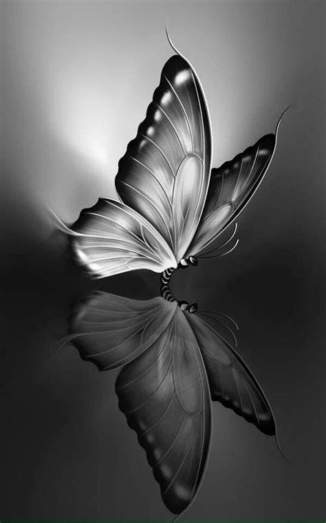 Butterfly Black And White, Blue Butterfly Wallpaper, Butterfly Artwork, 그림 낙서, Butterfly Wallpaper Backgrounds, Siluete Umane, Butterfly Wallpaper Iphone, Butterfly Pictures, Tapeta Pro Iphone