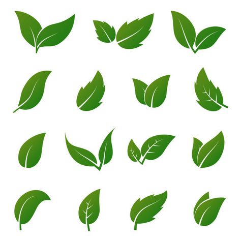 1,608,992 Leaf Illustrations, Royalty-Free Vector Graphics & Clip Art - iStock Valentines Day Doodles, Leaves Doodle, Leaf Vector, Spring Leaves, Tree Templates, Leaves Illustration, Leaf Illustration, Plant Vector, Floral Border Design