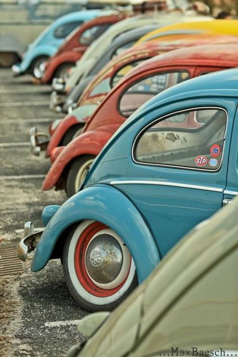 Rangée de voitures anciennes/vintages Sandakan, Van Volkswagen, Carros Vintage, Vintage Auto's, Kdf Wagen, Volkswagen Bug, Vintage Volkswagen, Vw Vintage, Car Volkswagen