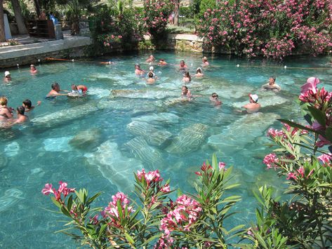 Ancient Thermal Pool Pamukkale Turkey | Swimming with columns from the Temple of Apollo in the Hierapolis ... Bonito, Pamukkale, Roman Pool, Temple Of Apollo, Thermal Pool, Outdoor Aesthetic, Thermal Spring, Pond Design, Swimming Holes