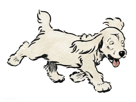 Cecil Aldin, Running Drawing, Running Illustration, White Puppy, Dog Animation, Greeting Card Art, Free Illustration Images, White Puppies, Dog Vector