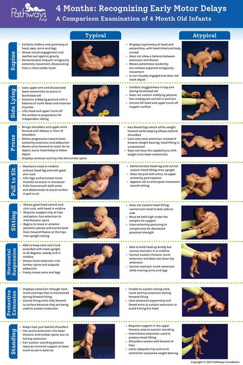 Check out our 4 Month Old Baby Typical and Atypical Motor Development reference guide includes a breakdown of the eight positions healthcare providers use to determine if intervention is needed, and what parents can look for in baby’s development. Head over to Pathways.org to download and print the handout, which is available in multiple languages! #babydevelopment #motordevelopment #motorskills #grossmotor #pediatrictherapy #4monthold #physicaltherapy 3 Month Old Development, 3-4 Month Milestones, Infant Stretches, 3-4 Month Old Activities, Infant Exercises, Activities For 4 Month Old Baby, 4 Month Old Milestones, 4 Month Old Baby Milestones, 4 Month Milestones