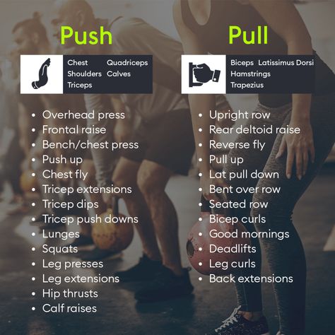 Pull Workouts, Push Pull Workout Routine, Push Pull Legs Workout, Push Day Workout, Pull Day Workout, Pull Workout, Push Pull Workout, Push Pull Legs, Push Workout