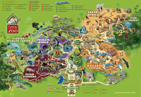 Lowry Park Zoo, Florida by Martin Schwartz, via Behance Zoo Architecture, Planet Zoo Layout, Zoo Layout, Theme Park Map, Zoo Map, Visual Map, City Zoo, Zoo Park, Busch Gardens Tampa