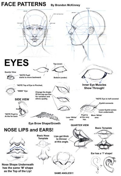 Drawing faces Drawing Hair, 얼굴 드로잉, 얼굴 그리기, Lips Drawing, Basic Drawing, 인물 드로잉, Poses References, Anatomy Drawing, Anatomy Reference