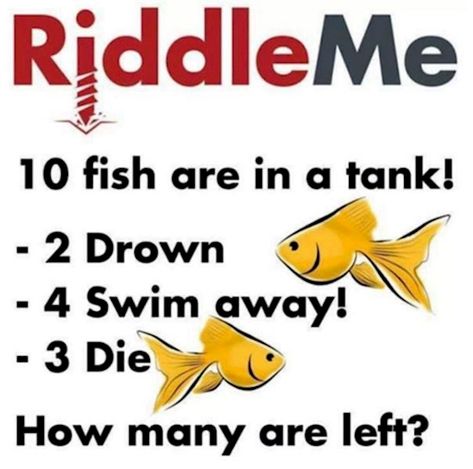 12 Impossible Riddles That Will Confuse Your Brain: QUIZ Impossible Riddles With Answers, Impossible Riddles, Funny Riddles With Answers, Tricky Riddles With Answers, Brain Teasers Riddles, Brain Teasers For Kids, Tricky Riddles, Riddles To Solve, Math Riddles