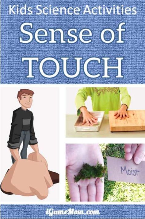 Science activities for kids to learn about sense of touch: why can we feel different objects, do all parts of our body has the same sensitivity? Fun STEM activities to go with the study of 5 senses, good for wide age range, from preschool to kindergarten to school age. Some are also good for school science fair project ideas. Science Fair Project Ideas, Fair Project Ideas, Senses Preschool, Fun Stem Activities, Senses Activities, Science Fair Project, Sense Of Touch, 5 Senses, Kids Science