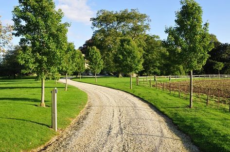 Long Driveway Landscaping | Driveway - Calimesa, CA - Photo Gallery - Landscaping Network Wedding Venue Driveway Entrance, Landscaping A Large Front Yard, Gravel Driveway Edging, Gravel Driveway Landscaping, Ranch Plans, Driveway Border, Grass Driveway, Acreage Landscaping, Driveway Edging