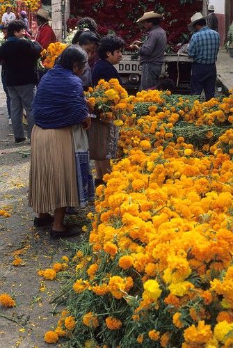 Mexican Art, Mexico Women, Michoacan Mexico, Gabriel Garcia Marquez, Voyage Europe, Outdoor Market, Mexican Culture, Mexican Style, Fresh Cut