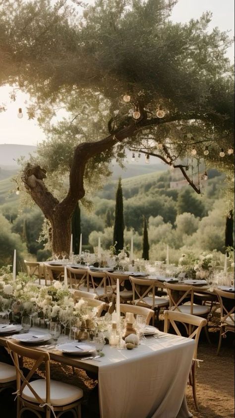 Tuscan Tablescape, Olive Branch Decor, Classic Italian Wedding, Tuscan Wedding Theme, Tuscany Wedding Theme, Vineyard Wedding Decor, Vinyard Wedding, Vintage Italian Wedding, Tuscany Italy Wedding