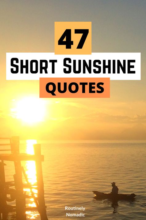 Did you just have the most amazing time in the sunshine and are now looking for the perfect short quotes about sunshine for Instagram or inspiration? Here are the best short sunshine quotes. Find the one that fits your experience, photo or just inspires you! Sunshine And Dogs Quotes, Lorraine, Short Quotes Sunshine, Funny Sunshine Quotes, Live In The Sunshine Quote, Rays Of Sunshine Quotes, Sunshine Box Quotes, Need Sunshine Quotes Funny, Sun Rays Quotes Inspiration