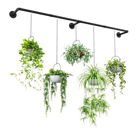 Frames with pockets or slots for planting various herbs or small plants. Plant Over Window, Hanging Plants Window Curtain Rods, Window Hanging Plants Indoor, Wall Pots For Plants Indoor, Plants On Curtain Rod, Hanging Plants On Wall Indoor, Hanging Plants High Ceiling, Plants Window Display, Hanging Plants Kitchen Window