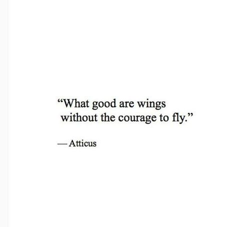 Whoa, it’s already the sixth day of our six days of quotes challenge! It’s been a pretty fun challenge :) we’ve loved sharing our favorite quotes with you guys, and since it&#8217… Atticus Poetry, Wings Quotes, Fly Quotes, Short Poems, Atticus, Quotes And Notes, Poem Quotes, Queen Quotes, Favorite Words