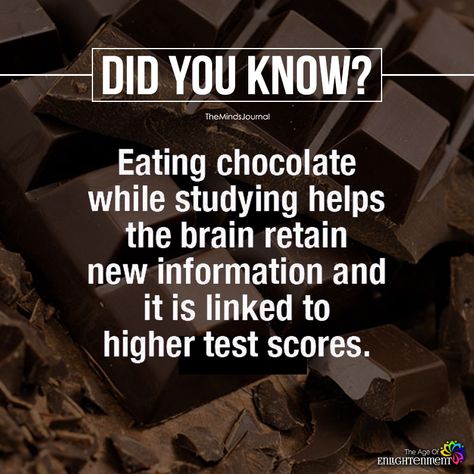 Eating Chocolate While Studying Helps The Brain Retain New Information - https://themindsjournal.com/eating-chocolate-studying-helps-brain-retain-new-information/ Humour, Physcology Facts, Physiological Facts, Facts About Humans, Psychological Facts Interesting, Eating Chocolate, Interesting Science Facts, Minds Journal, Brain Facts