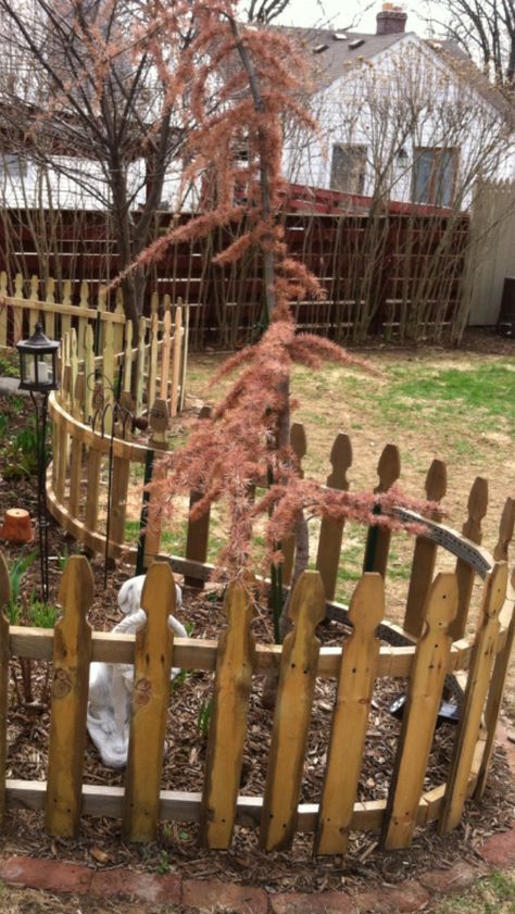 Curved Fence, Backyard Oasis Diy, Farm Landscaping, Herbal Tea Garden, Yard Fence, Easy Plants To Grow, Diy Fence, Front Yard Fence, Farm Fence