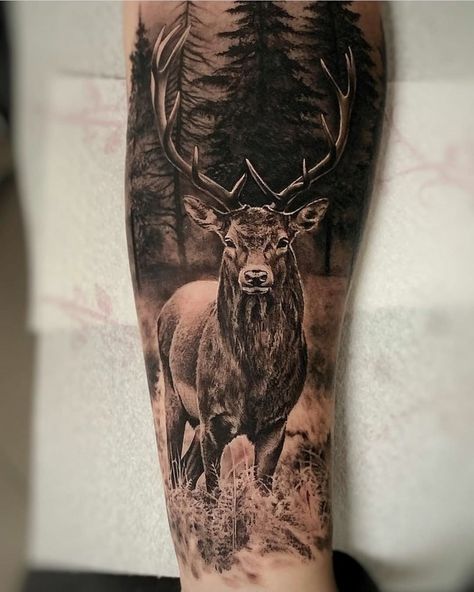 Tattoo by @carlesbonafe⁣ ⁣⁣⁣ ➖➖➖➖➖➖➖➖➖➖⁣⁣⁣⁣⁣⁣⁣⁣⁣⁣⁣⁣⁣⁣⁣⁣ Tag us to be featured⁣⁣⁣⁣⁣⁣⁣⁣⁣⁣⁣⁣⁣⁣⁣ ➖➖➖➖➖➖➖➖➖➖➖➖➖➖➖➖⁣⁣⁣⁣⁣⁣⁣⁣⁣⁣➖➖➖➖➖➖⁣⁣⁣⁣⁣⁣ ⁣⁣⁣⁣⁣⁣… Deer, Nature Tattoos, Animal Tattoos, Nature, Animal Tattoo Ideas, Deer Tattoo, Instagram Tattoo, Mother Earth, Realism