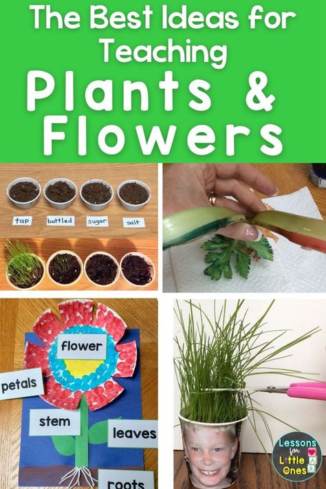 The best ideas for teaching how plants grow, what plants need to grow, the parts of a flower, & how to plant seeds to your preschool, kindergarten, first grade students. Click for hands-on, engaging activities and experiments for your spring plant or flower unit. Nature, Plant Unit First Grade, What Plants Need To Grow Preschool, Hands Gardening, Plant Unit Kindergarten, What Plants Need To Grow, Seeds Preschool, Plants Science Experiments, Leaf Lessons