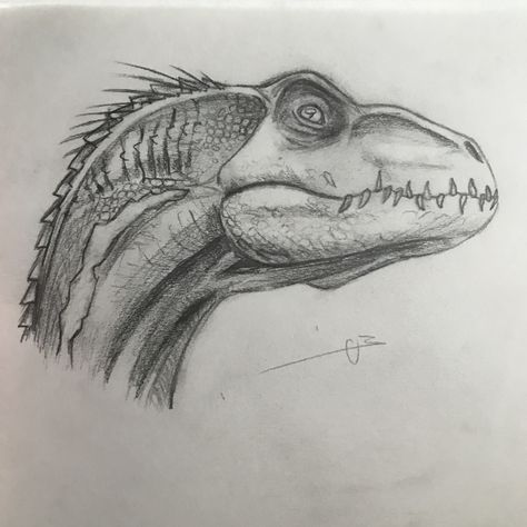 Baryonyx Drawing, Indominus Rex Drawing, Indoraptor Drawing, Jurassic World Drawing, Jurassic Park Drawing, Whale Sketches, Dinosaur Drawing Realistic, Raptor Sketch, Indoraptor Art