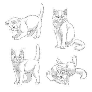 How To Draw Better, Draw Better, Cat Expressions, Cat Climbing Tree, Cat Drawing Tutorial, Cats Art Drawing, Cat Anatomy, Cat Sketch, Drawing Activities