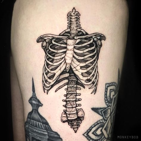 Skeleton Torso Tattoo, Tattoo Ribcage, Skeleton Torso, Tattoo Costillas, Anatomy Tattoo, Tattoo Moon, Ribcage Tattoo, Skeleton Tattoos, Bone Tattoos