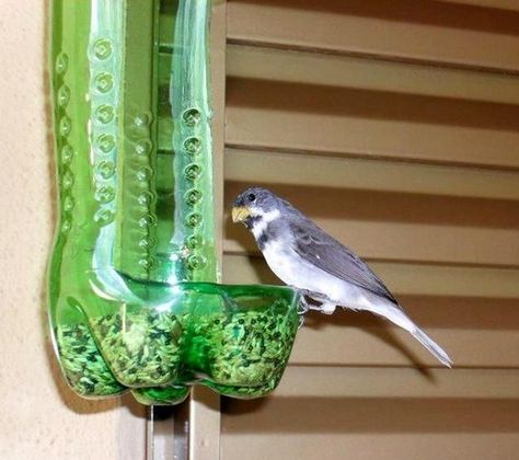 recycled crafts for kids and adults, handmade bird feeders recycling plastic bottles Studio Seni, Recycled Ideas, Recycling For Kids, مشروعات العلوم, Handmade Birdhouses, Recycled Crafts Kids, Homemade Bird Feeders, Reuse Plastic Bottles, Plastic Bottle Art