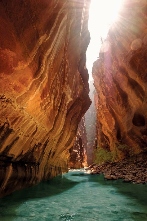 Zion National Park Camping, Zion National Park Photography, Natur Wallpaper, Zion Canyon, Zion National Park Utah, National Parks Photography, National Park Road Trip, Utah Photography, Utah National Parks