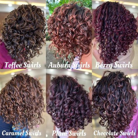 Haircolour Ideas For Curly Hair, Hair Colouring Styles, Balayage, Curly Coloured Hair Natural Curls, Different Hair Dye Styles Curly Hair, Brown Highlights In Dark Hair, Peekaboo Color On Curly Hair, Color Dyed Curly Hair, Color For Curly Hair Ideas