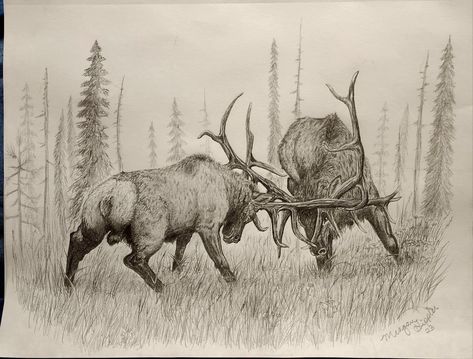 Bull Elk Drawing, Bucking Bull Drawing, Elk Line Art, Elk Sketch, Bison Drawing, Caribou Animal, Wildlife Sketches, Elk Drawing, Drawing Deer