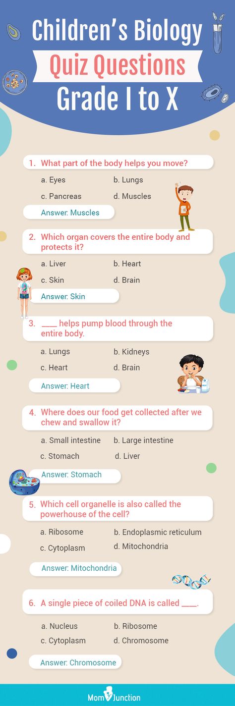 General Questions For Kids, Science Quiz For Grade 1, Gk For Grade 1, Gk Questions For Class 1, Science For Kids Worksheets, Gk Questions And Answers For Kids, Gk Worksheets For Grade 1, Funny Quiz Questions And Answers, Science Quiz Questions And Answers