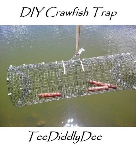 This easy to make DIY Crawfish / Crawdad Trap will help you catch scores of crawfish! Just follow my easy directions and you will be able to catch them too! Crawfish Traps, Barrel Train, Fun Garden Art, Fishing Hacks, Whimsical Garden Art, Horse Flowers, Bird Bath Garden, Foam Pumpkins, Easy Backyard