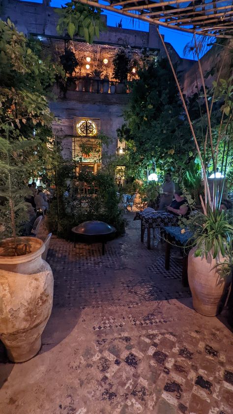 Bonito, Morocco Garden, Morocco Restaurant, Morrocan Garden, Daily Drama, Moroccan Garden, Moroccan Restaurant, Moroccan Aesthetic, Fes Morocco