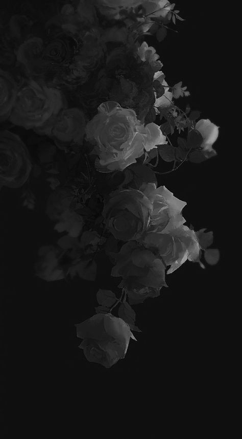 Black Flowers Wallpaper, Flowers Black Background, Wattpad Background, Dark Red Wallpaper, Goth Wallpaper, Gothic Wallpaper, Dark Nature Aesthetic, Black Background Wallpaper, Pretty Landscapes