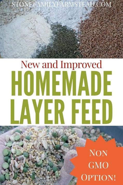 Mixing layer feed for chickens can be daunting, but not when you are using this recipe. Try my homemade layer feed formulation and avoid GMOs altogether. #homemade layer feed #make your own chicken layer feed #chickenlayer feed #feedingchickens #properchickennutrition #chickennutrition Chicken Feed Mix Recipe, Homemade Chicken Feed For Layers, Aesthetic Chicken Coop, Chicken Feed Recipe, Chicken Layer Feed, Chicken Feed Diy, Homemade Chicken Feed, Farming Aesthetic, Farm Life Aesthetic