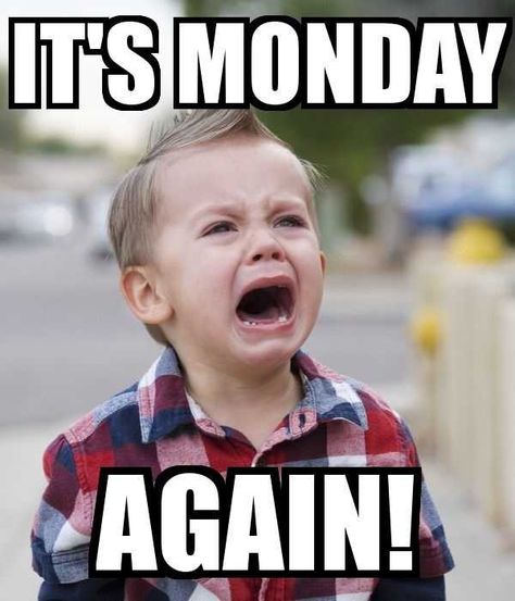 Monday Meme Discover more interesting Action, Coffee, Crying, Energy memes. https://www.idlememe.com/monday-meme-104/ Funny Sunday, Funny Monday Memes, Montag Motivation, Funny Monday, Sunday Humor, Monday Humor Quotes, Happy Memes, Tomorrow Is Monday, Morning Memes