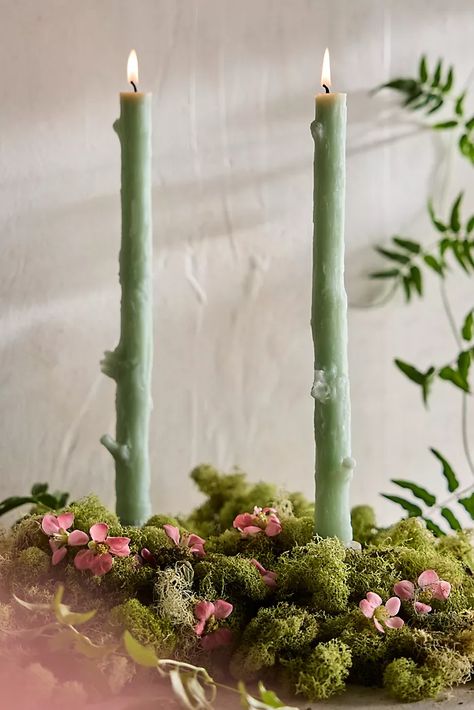 Nature, Snake Plant Centerpiece, Fall Candle Sticks, Green Garden Party Decorations, Lord Of The Rings Party Decor, Nature Themed Party Decorations, Earthy Party Decor, Fairytale Bridal Shower Theme, Lord Of The Rings Party Decorations