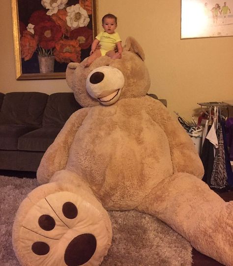 Grandpa Gets Granddaughter Ridiculously Huge Teddy Bear, And The Internet Just… Teddy Bear Plushies, Costco Bear, Bear Plushies, Plushies Cute, Huge Teddy Bears, Large Teddy Bear, Big Teddy Bear, Big Teddy, Giant Teddy Bear