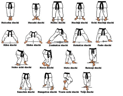 Karate Picture, Shotokan Karate Kata, Goju Ryu Karate, Karate Styles, Karate Moves, Karate Shotokan, Karate Kata, Mixed Martial Arts Training, Martial Arts Gif