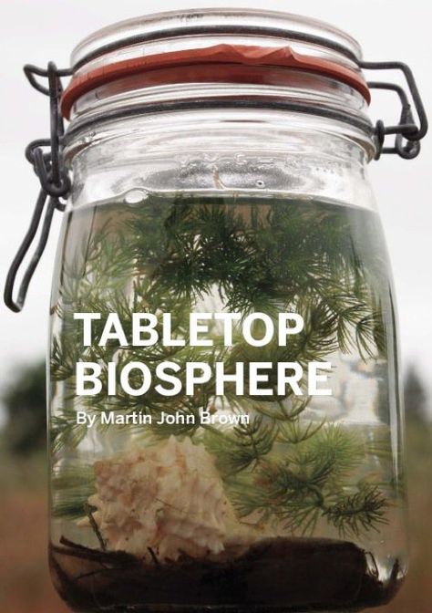 Science Classroom, Vetenskapliga Experiment, Ghost Shrimp, Kid Science, Mini Terrarium, Theme Nature, John Brown, Decoration Plante, Homeschool Science