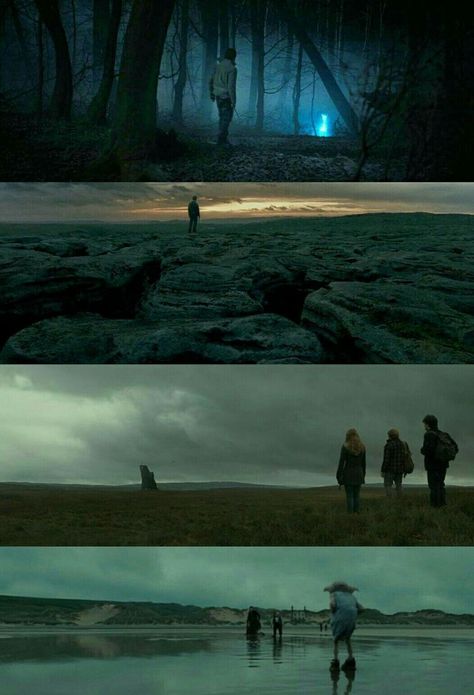 Cinematic Forest Photography, Dennis Villeneuve Cinematography, Forest Cinematography, Harry Potter Cinematography, Cinematic Forest, Aesthetic Movie Shots, Harry Potter And Deathly Hallows, Harry Potter Scenes, Into The Forest Movie