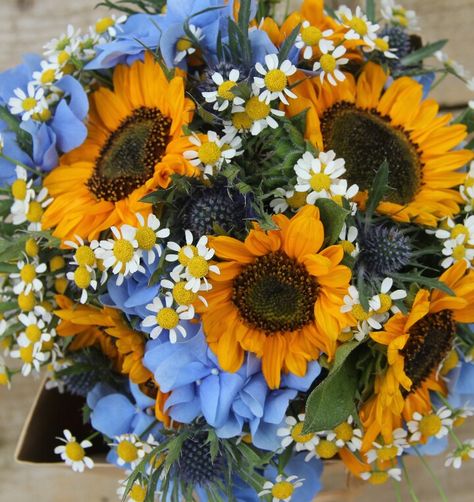 Fall/Autumn Wedding Bouquet Showcasing: Blue Hydrangea, Blue Eryngium Thistle, White/Yellow Chamomile Daisies, Yellow-Orange Sunflowers, Greenery Autumn Wedding Bouquet, Blue Flowers Bouquet, Hydrangea Blue, Orange Sunflowers, Boquette Flowers, Sunflower Bouquets, Wedding Blue, Flowers Bouquet Gift, Nothing But Flowers